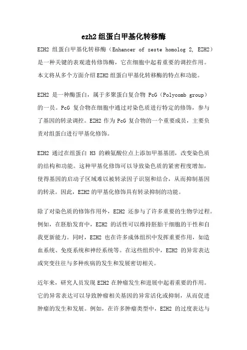 ezh2组蛋白甲基化转移酶