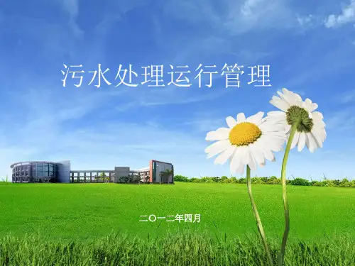 城镇污水处理厂运行管理课件