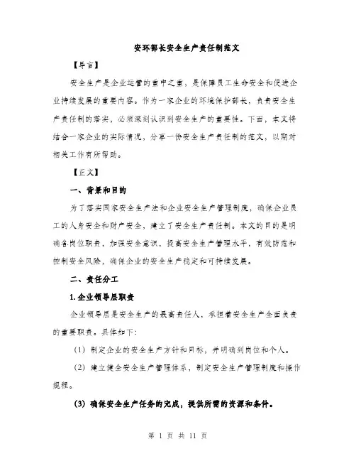 安环部长安全生产责任制范文（三篇）