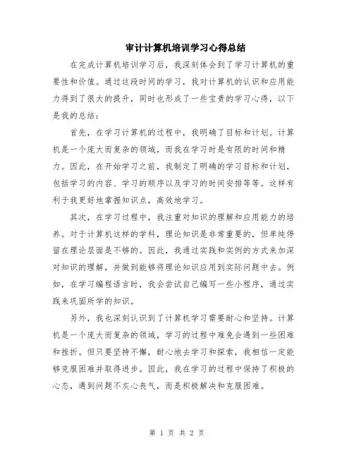 审计计算机培训学习心得总结