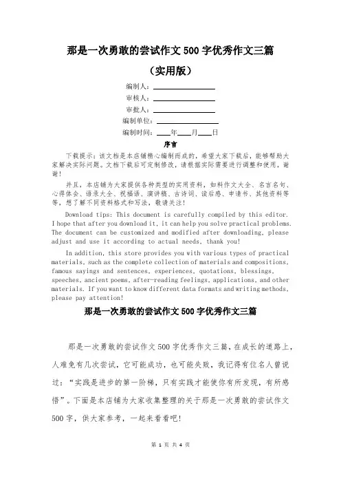 那是一次勇敢的尝试作文500字优秀作文三篇