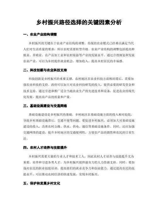 乡村振兴路径选择的关键因素分析