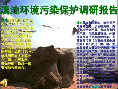 滇池环境污染保护