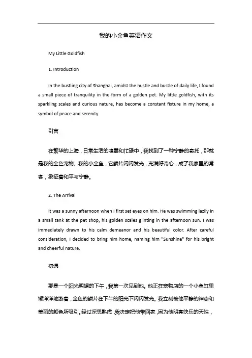 我的小金鱼英语作文