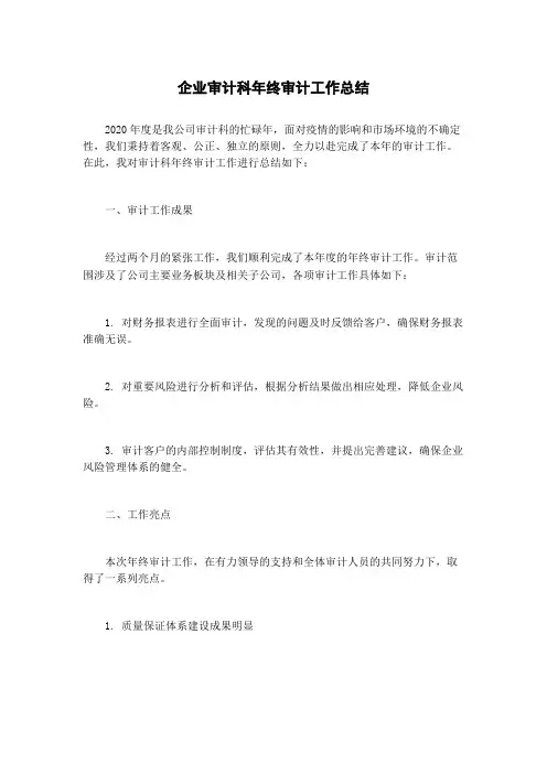 企业审计科年终审计工作总结