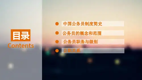 行政机关公务员处分条例