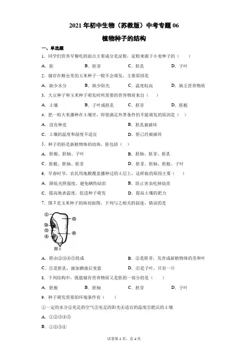 2021年初中生物(苏教版)中考第一轮专题 植物种子的结构06
