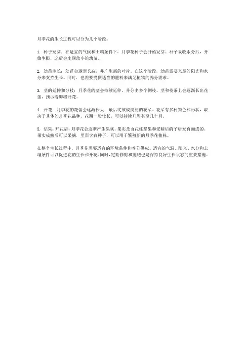 月季花的生长过程
