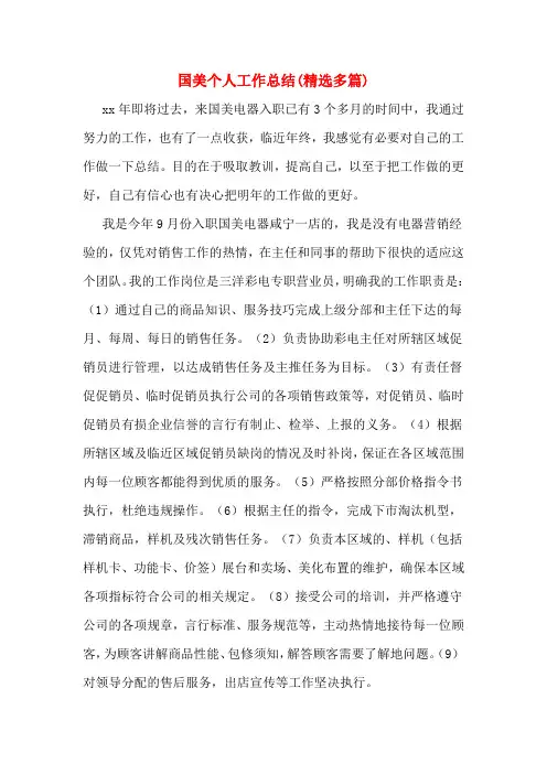 国美个人工作总结(精选多篇)