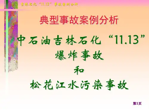 吉林双苯1113爆炸(精)