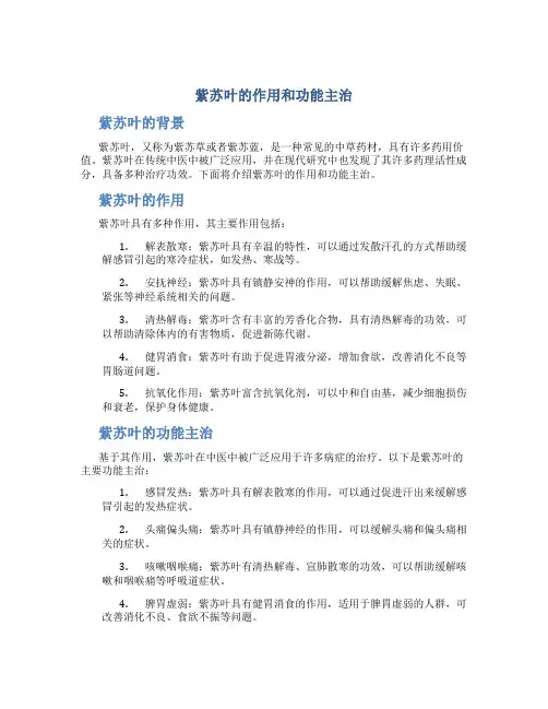 紫苏叶的作用和功能主治