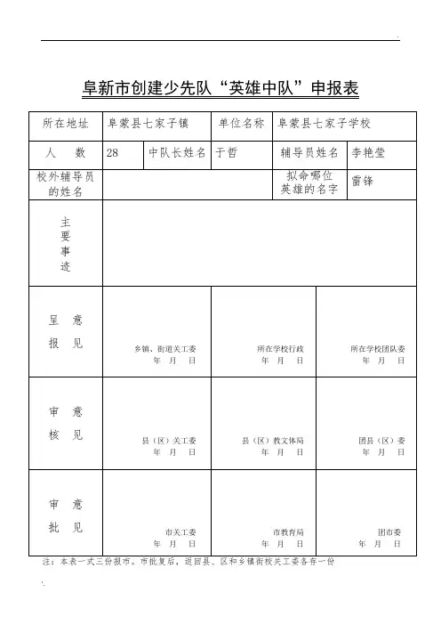 英雄中队申报表