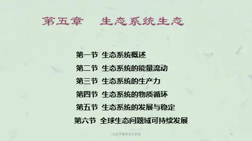 生态学基础生态系统课件