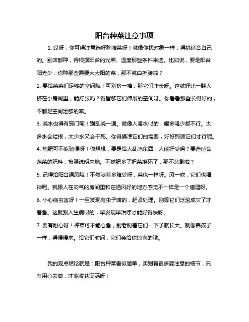 阳台种菜注意事项