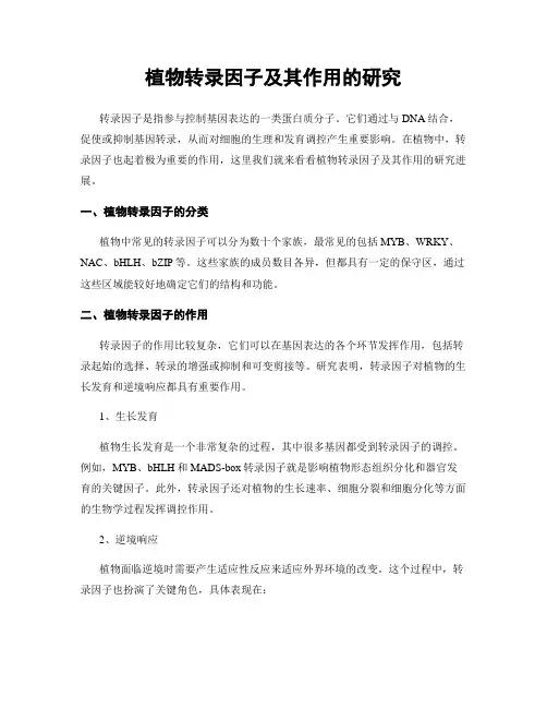 植物转录因子及其作用的研究