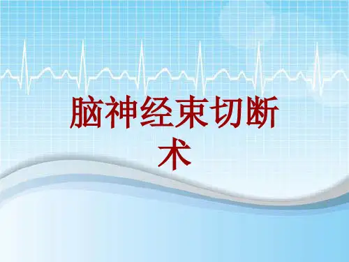 手术讲解模板：脑神经束切断术