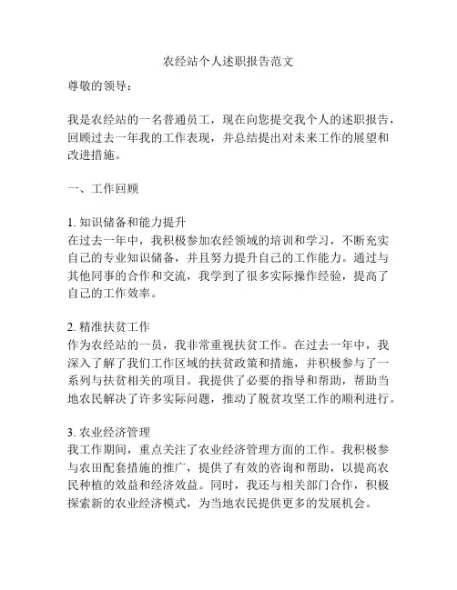 农经站个人述职报告范文