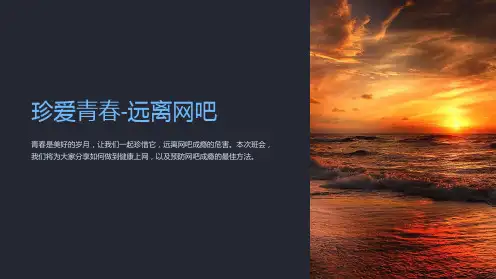 主题班会：珍爱青春-远离网吧ppt