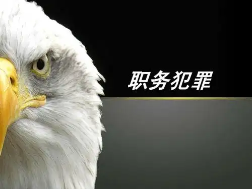 职务犯罪现状及特点