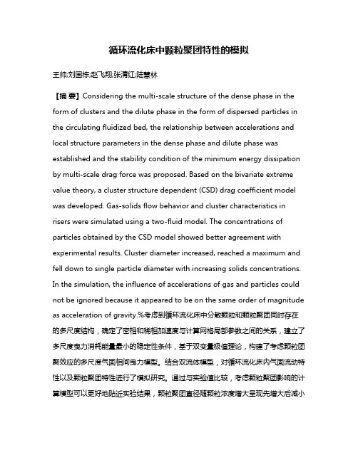 循环流化床中颗粒聚团特性的模拟