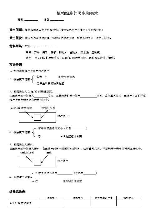 植物细胞的吸水和失水实验实验报告