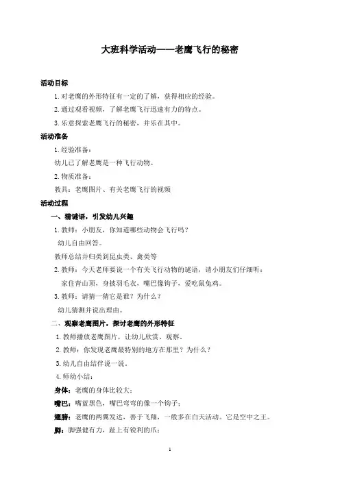 大班科学活动---老鹰飞行的秘密