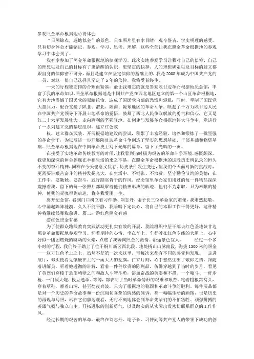 照金学习心得体会