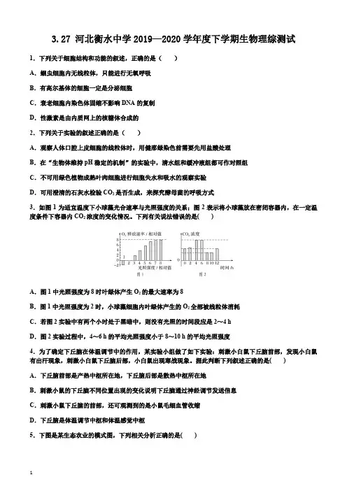 河北衡水中学2019—2020学年度下学期生物理综测试