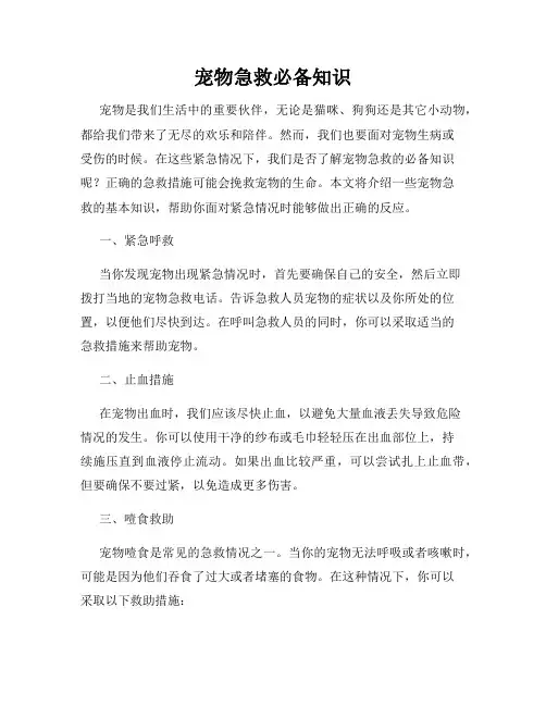 宠物急救必备知识