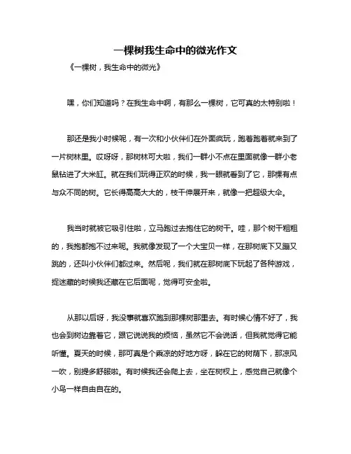 一棵树我生命中的微光作文