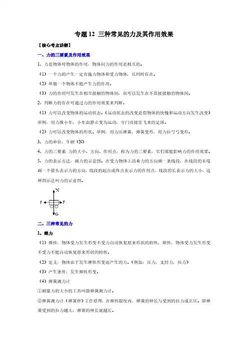 (中考物理必刷题)专题12 三种常见的力及其作用效果(解析版)