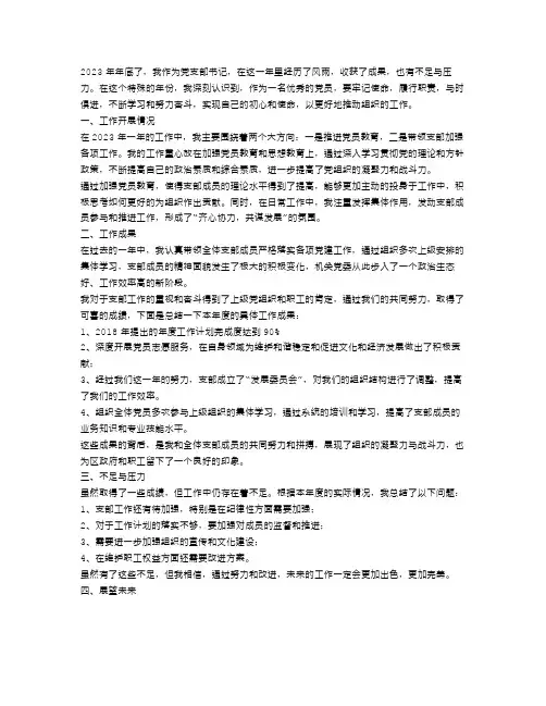 2023党支部书记个人年终工作总结