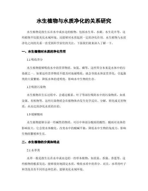 水生植物与水质净化的关系研究