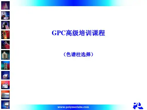 柱选择