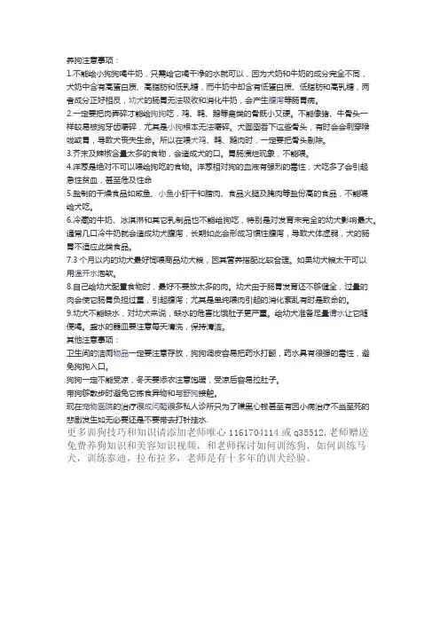 养狗注意事项