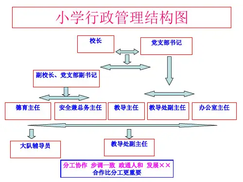 小学行政管理结构图[范本]