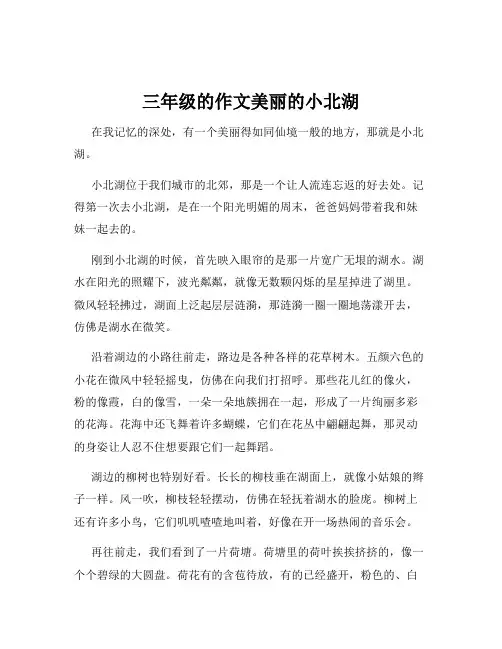 三年级的作文美丽的小北湖