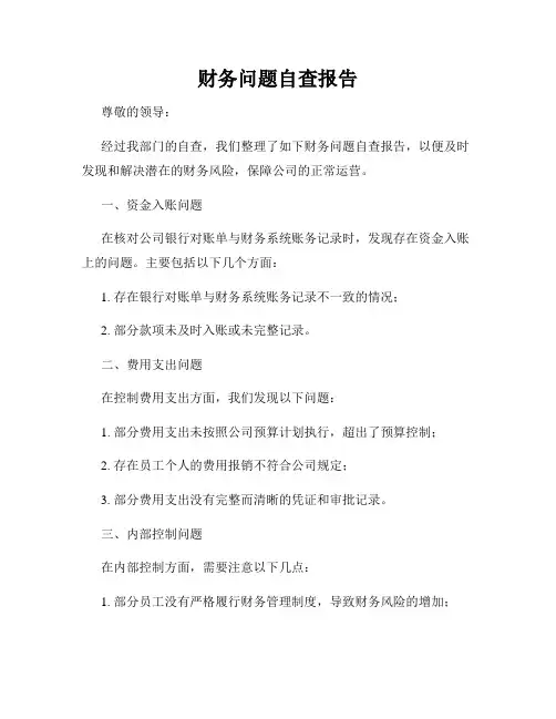 财务问题自查报告
