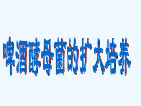 啤酒酵母菌扩大培养概论
