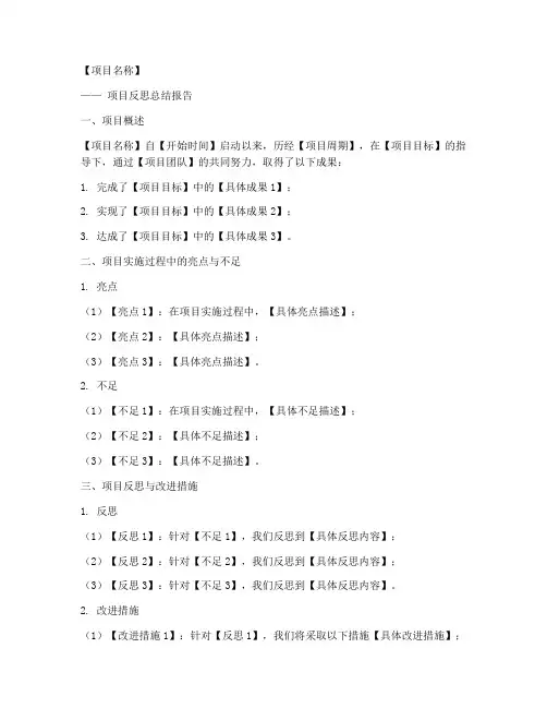 项目反思总结文案模板