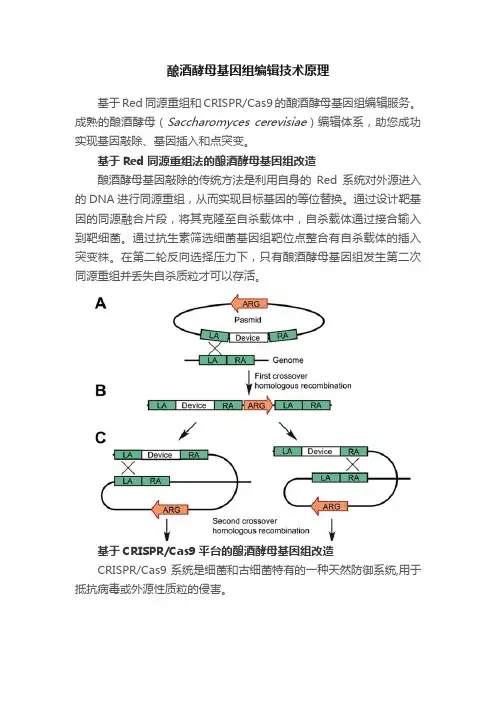 酿酒酵母基因组编辑技术原理