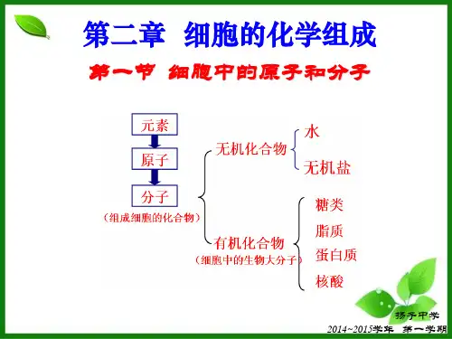 细胞中的原子和分子PPT课件8 苏教版