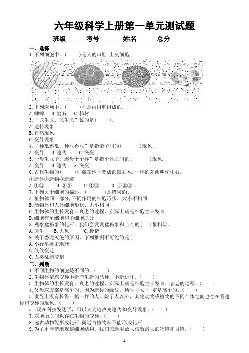 小学科学青岛版六三制六年级上册第一单元《遗传和变异》测试题1(2022秋)(附参考答案)