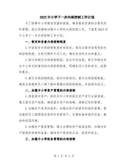 2023中小学下一步内部控制工作计划