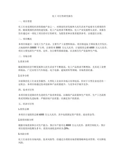 化工 可行性研究报告