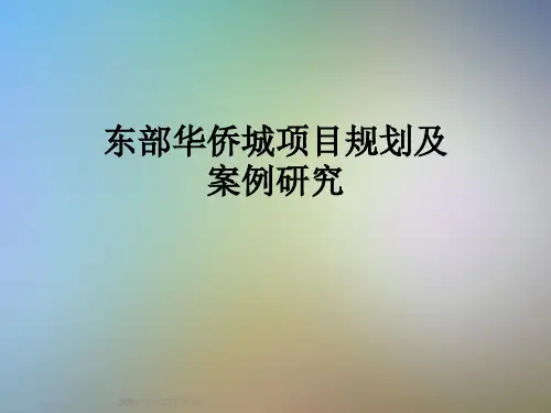 东部华侨城项目规划及案例研究