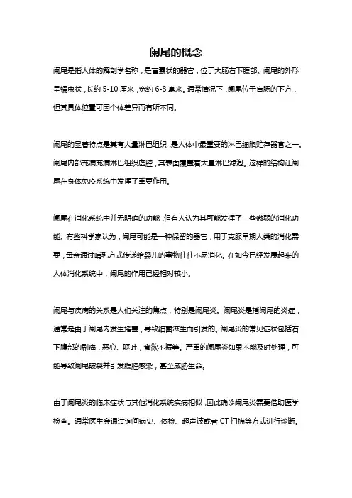 阑尾的概念