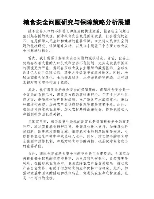 粮食安全问题研究与保障策略分析展望