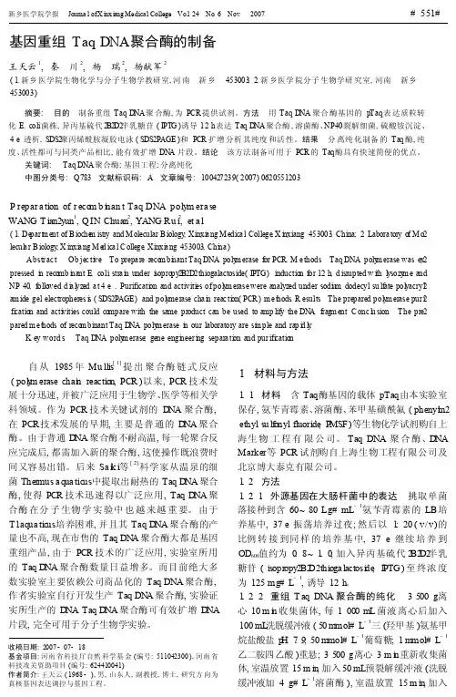 基因重组TaqDNA聚合酶的制备
