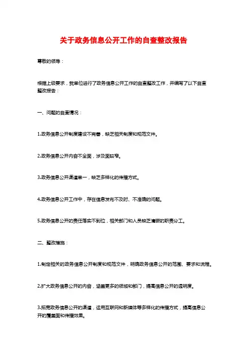 关于政务信息公开工作的自查整改报告